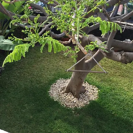 Bungalow Claudia Beachfront Casa vacanze